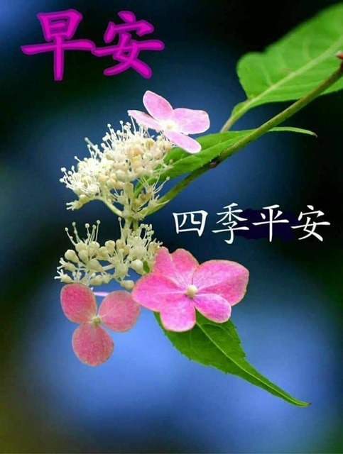 按我可連結至更清楚的圖片